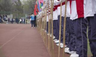 青岛农业大学海都学院什么专业好